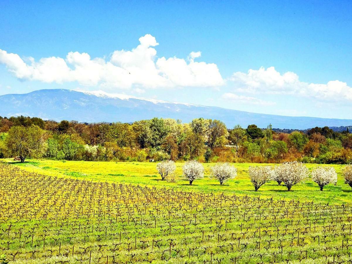Domaine De La Brave Bed & Breakfast Pernes-les-Fontaines Bagian luar foto